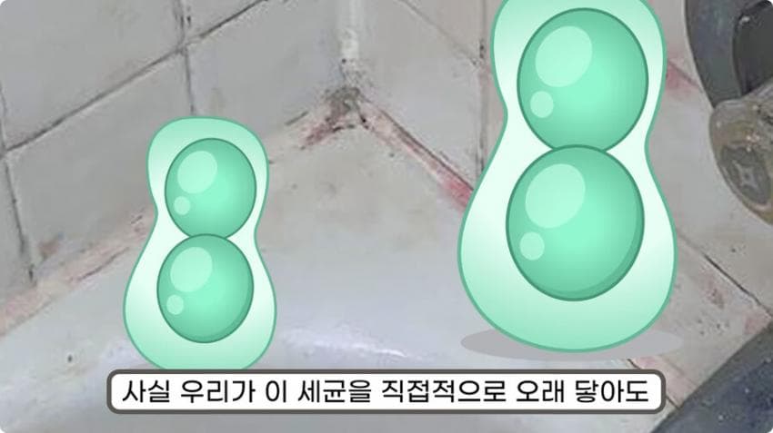스압) 화장실 청소를 열심히 해야하는 이유