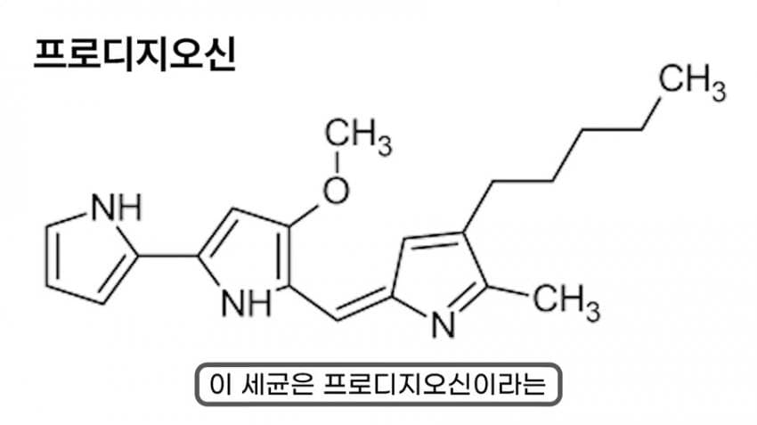 스압) 화장실 청소를 열심히 해야하는 이유