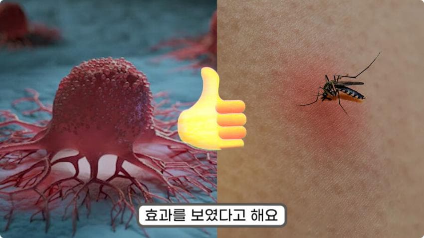 스압) 화장실 청소를 열심히 해야하는 이유