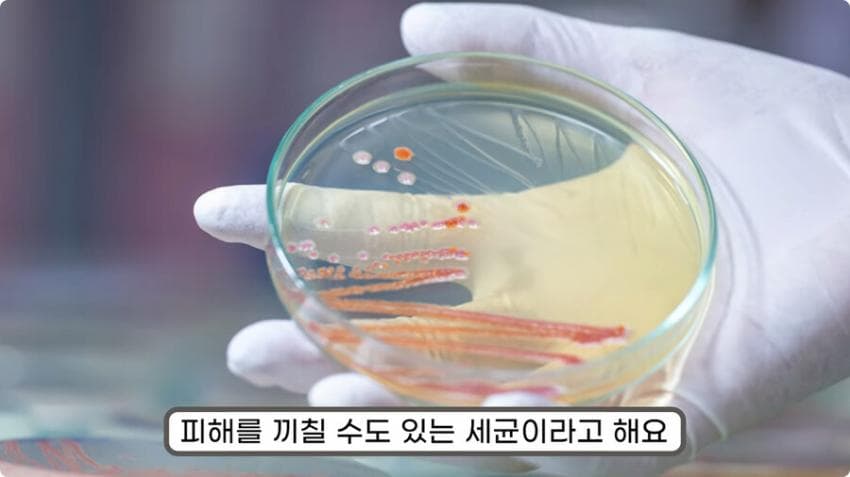 스압) 화장실 청소를 열심히 해야하는 이유