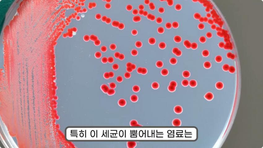 스압) 화장실 청소를 열심히 해야하는 이유