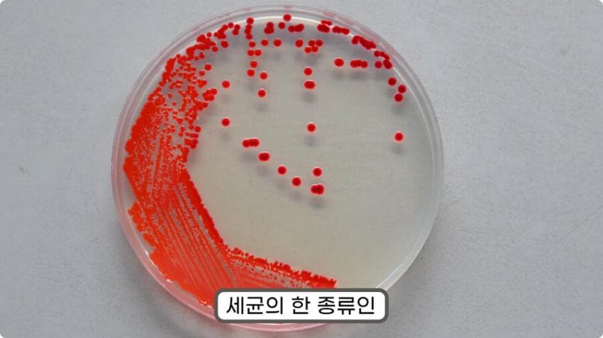 스압) 화장실 청소를 열심히 해야하는 이유