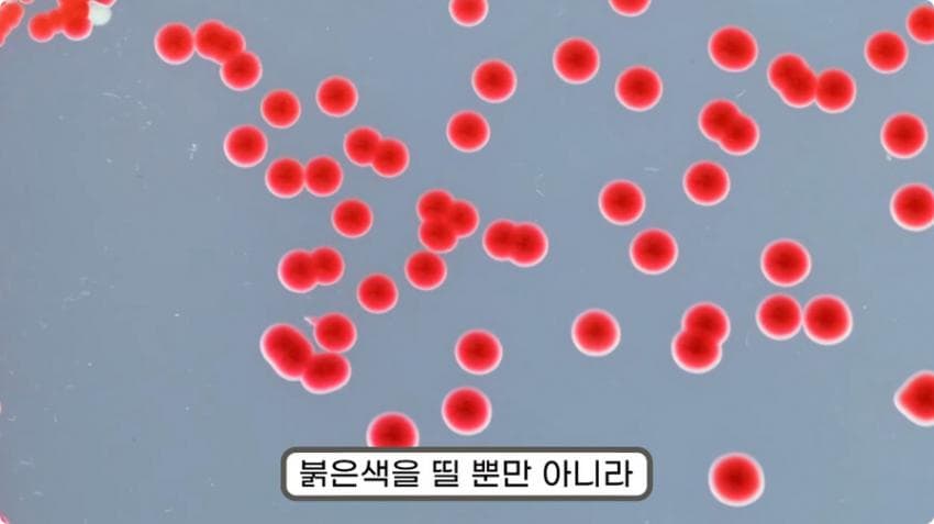 스압) 화장실 청소를 열심히 해야하는 이유