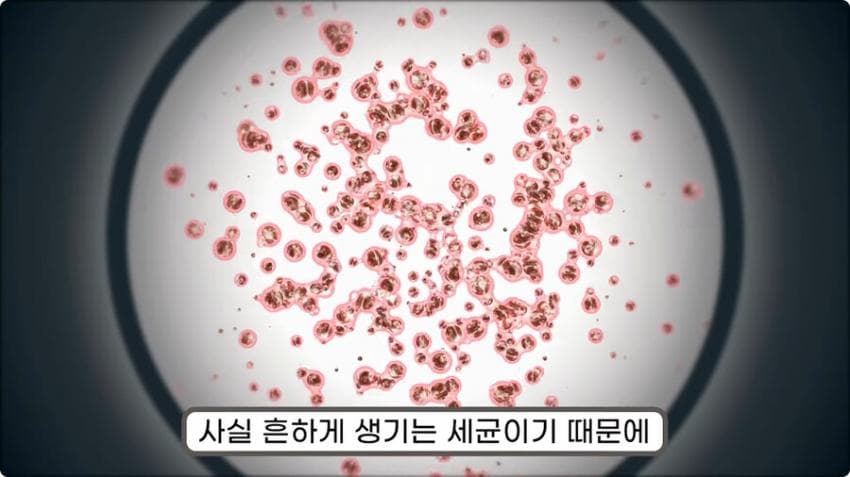 스압) 화장실 청소를 열심히 해야하는 이유