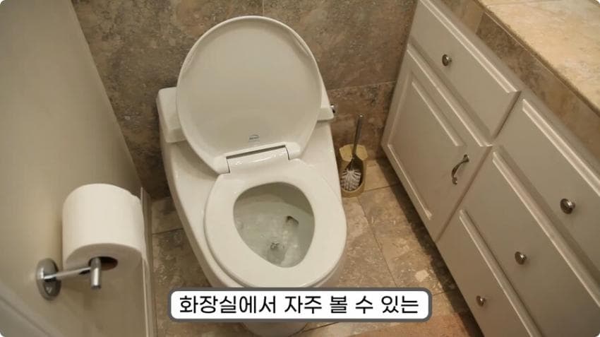 스압) 화장실 청소를 열심히 해야하는 이유