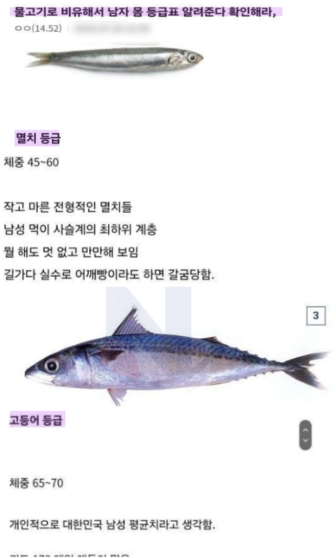 2 43.png - 생선 종류로 보는 나의 피지컬 등급 ㅎㄷㄷ