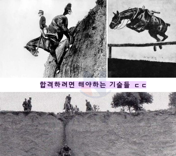 3 24.png - 합격하려면 이 기술들을 해야하는 이탈리아 기병학교의 졸업시험ㄷㄷ