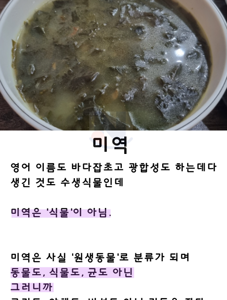 4 23.png - 미역국이 어쩔 수 없이 맛있는 이유 ㅎㄷㄷ