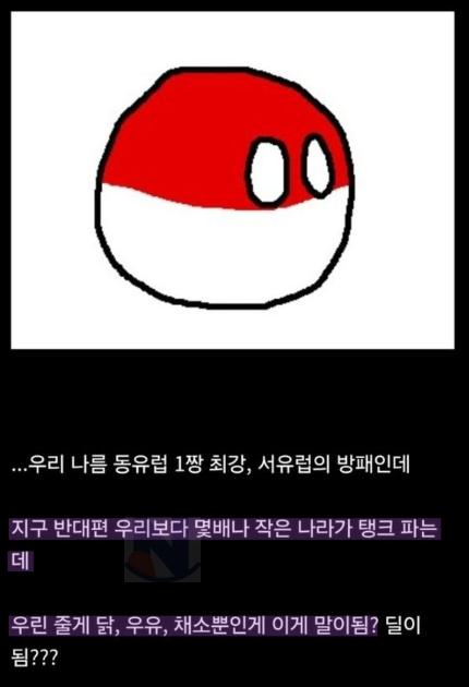 5 24.png - 한국 탱크고객 생각수준