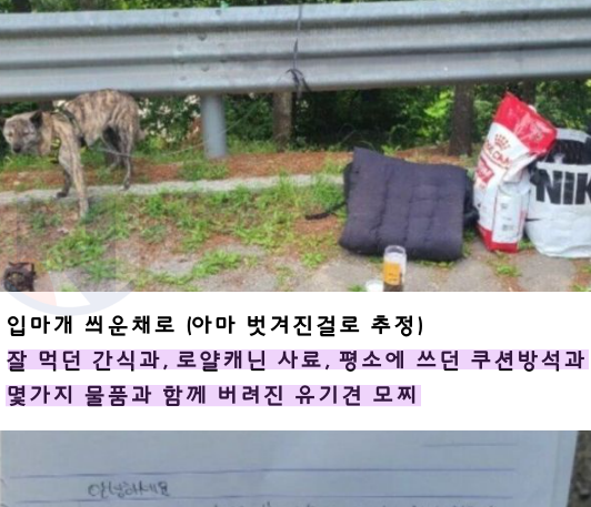 5 36.png - 눈물 없이 볼 수 없는 탄천 공영 주차장에 버ㄹ진 강아지의 사연....jpg