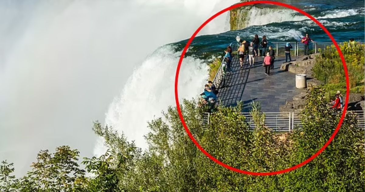 copy of articles thumbnail 1200 x 630 2 3.jpg - Heartbreaking Reason Mother JUMPED To Her Death From Niagara Falls With Her Two Kids Revealed