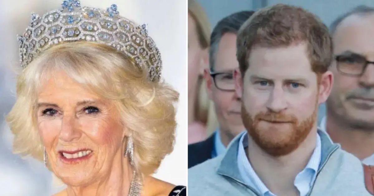 copy of articles thumbnail 1200 x 630 5 23.jpg - Queen Camilla 'Refusing to Forgive' Prince Harry for Trashing Royal Family in His Moany Memoir: 'She's Blocking His Return to The Firm'