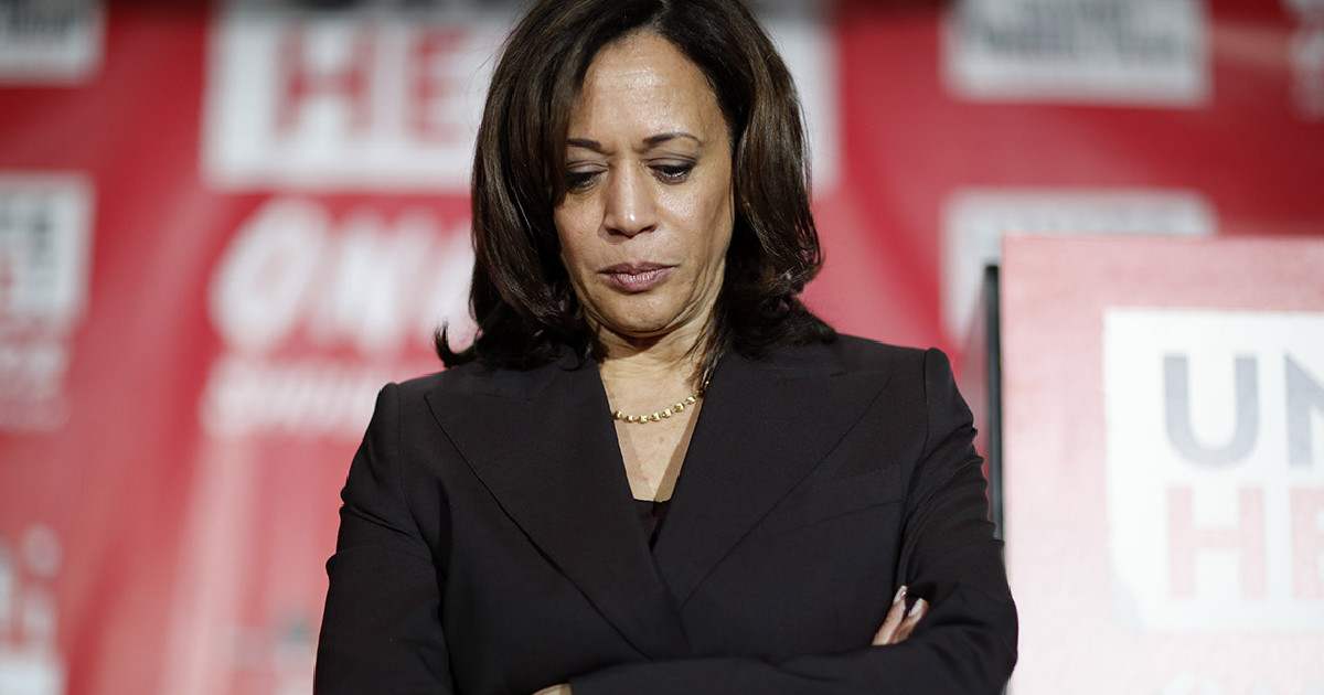 dsfsfsf.jpg - JUST IN: Kamala Harris' HQ falls 'silent' In the Final Hour of Election Day