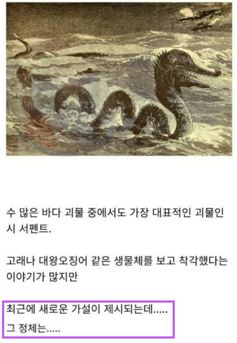 1 32.png - 전설 속 바다괴물의 진짜 비밀ㄷㄷㄷ