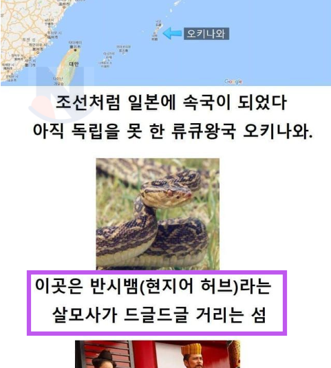 11 5.png - 뱀에 물려 죽ㄱ 싫었던 사람들이 발악했더니.. 일어난 결과 ㅎㄷㄷ