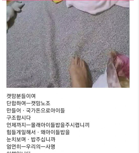 7 5.png - 캣맘 : 우리도 노조만들어서 국가돈으로 캣맘질하자.