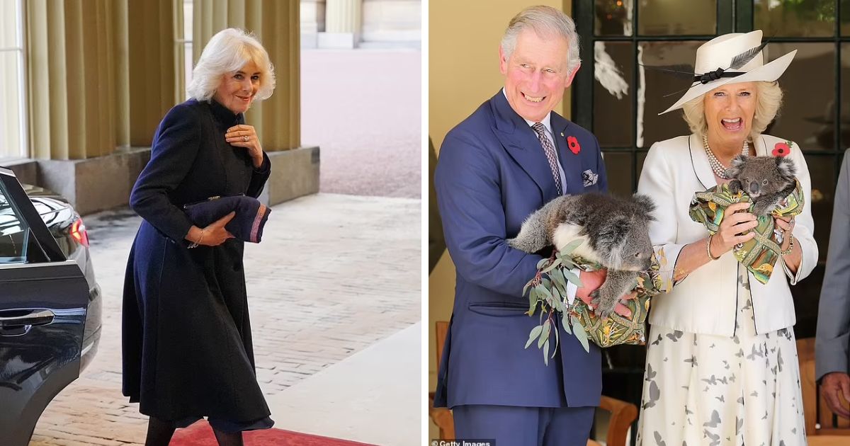 copy of articles thumbnail 1200 x 630 18.jpg - What’s Wrong With Queen Camilla? Concerns Arise About Her Health After Palace Gives Alarming Update