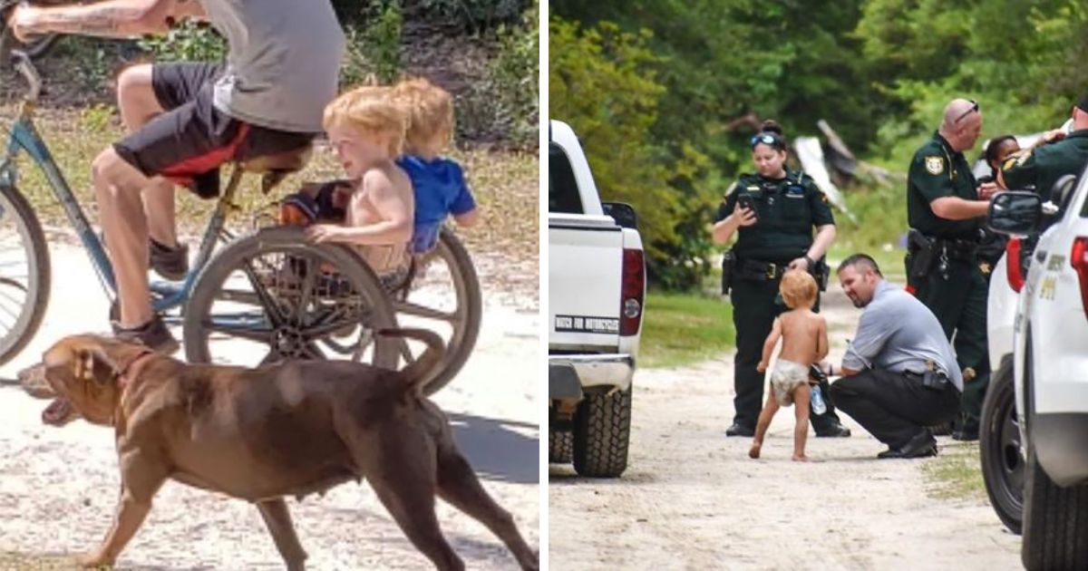 copy of articles thumbnail 1200 x 630 2 36.jpg - An Absolute Miracle! Missing Toddler With Autism Found In The Loving Care & Protection of Two Dogs