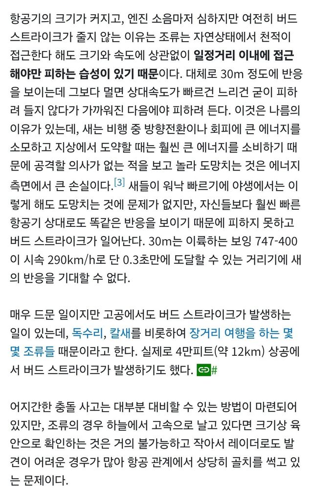 버드스트라크 피할 수 없는이유.jpg