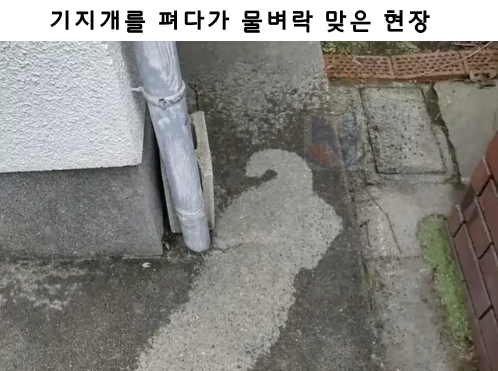 3 25.png - 기지개를 펴다가 물벼락 맞은 현장,,...ㅋㅋㅋㅋㅋㅋㅋㅋ