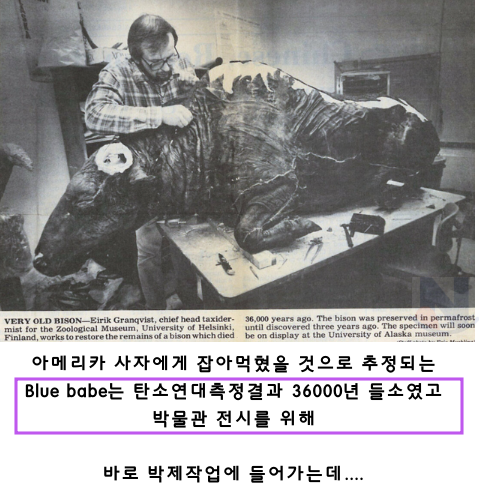 4 14.png - 36,000년 된 소고기를 먹은 박제사들....ㅎㄷㄷ(+후기)