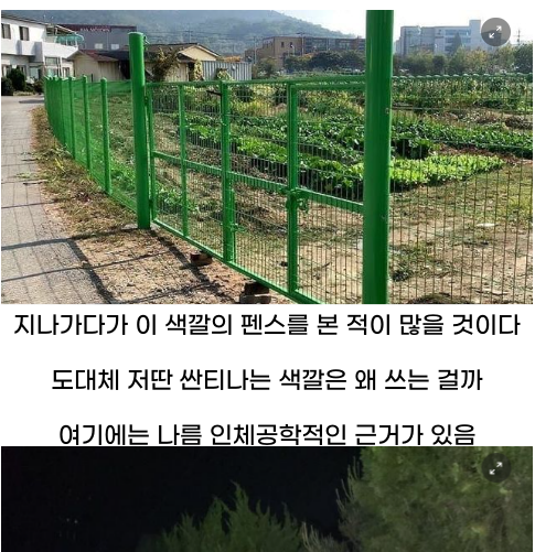 5 48.png - 연두색 펜스가 많은 이유