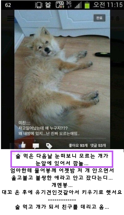 6 13.png - 술 먹고 취해서 어떤 실수 해봤음?ㅋㅋㅋㅋㅋ