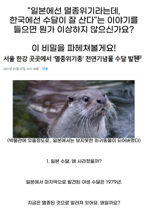 8 26.png - 일본은 멸종위기인데, 한국에서는 수달이 잘 산다