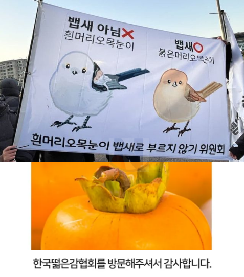 9 21.png - 한국의 독특하고 신기한 협회들 ㅎㄷㄷ