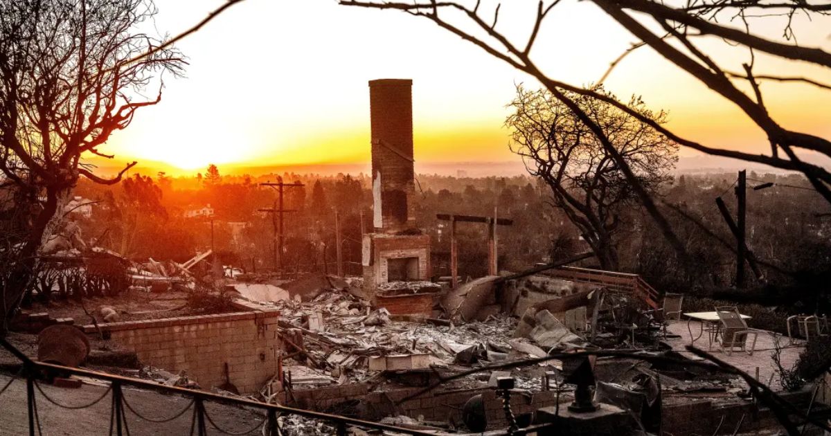 copy of articles thumbnail 1200 x 630 1 15.jpg - 'Pure Greed!'- Celebs Call Out Insurance Companies for Canceling ‘Millions of Policies’ Ahead of LA Fires