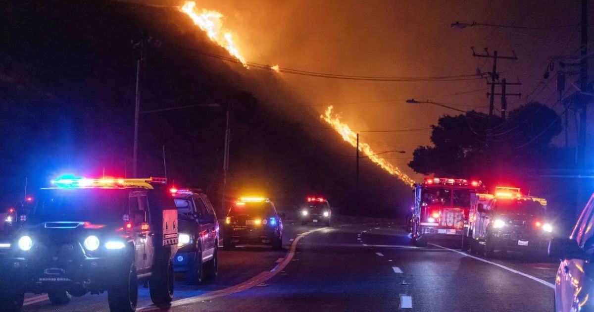 copy of articles thumbnail 1200 x 630 17 3.jpg - LA Wildfire 'Arsonist' Accused of Starting Inferno in Hollywood ARRESTED After Being Tackled by FURIOUS Residents