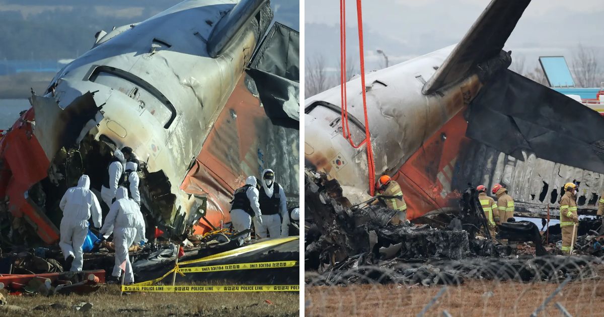 copy of articles thumbnail 1200 x 630 2 5.jpg - Aviation Expert Suggests ‘Sinister’ Cause of South Korea’s Jeju Air Plane Crash That Killed 179