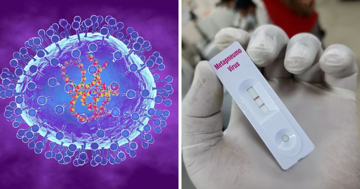 copy of articles thumbnail 1200 x 630 3 7.jpg - Four Key Symptoms of 'Mystery Virus' HMPV Revealed As China Tries To Tackle Outbreak