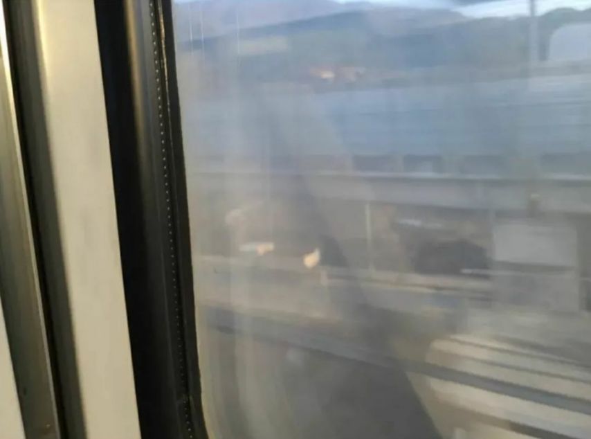 1000017524.jpg Ktx 에서 황당한일 겪음