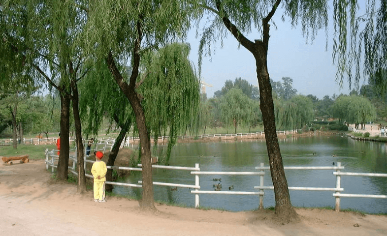 37.png 낭만의 2000년대 초 사진들 100장.jpg