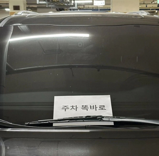 image.png 카니발 차주에게 \