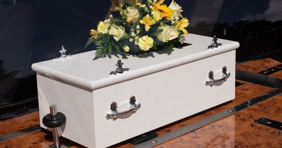 copy of articles thumbnail 1200 x 630 40.jpg - Toddler KILLED in Horror Collision as He's HIT by Two Cars While Chasing Family Dog