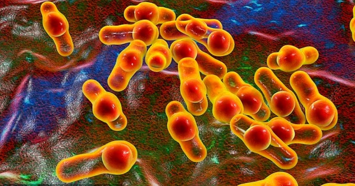 copy of articles thumbnail 1200 x 630 99 5.jpg - Urgent Vaccination Warning for Travelers Visiting Popular Tourist Destination as Outbreak on the Rise