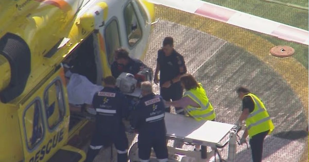 copy of articles thumbnail 1200 x 630 2025 07 08t130701 855.jpg - Woman Airlifted to Hospital After Losing Arm In Lion Attack at Zoo