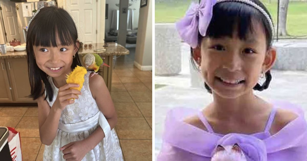 copy of articles thumbnail 1200 x 630 2025 07 11t132842 237.jpg - 8-Year-Old Californian Girl Tragically Passes Away After Being Struck by July 4th Firework