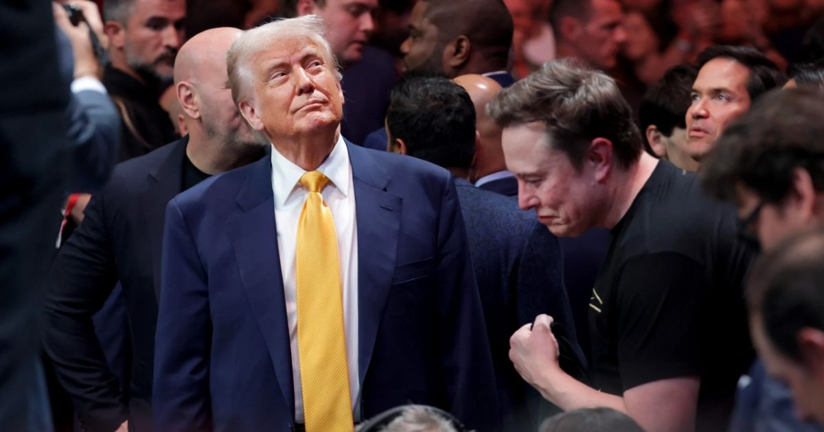copy of articles thumbnail 1200 x 630 2025 07 17t134435 612.jpg - Elon Musk Drops Bombshell About Donald Trump In Now-Deleted Post: ‘He Is In The Epstein Files'
