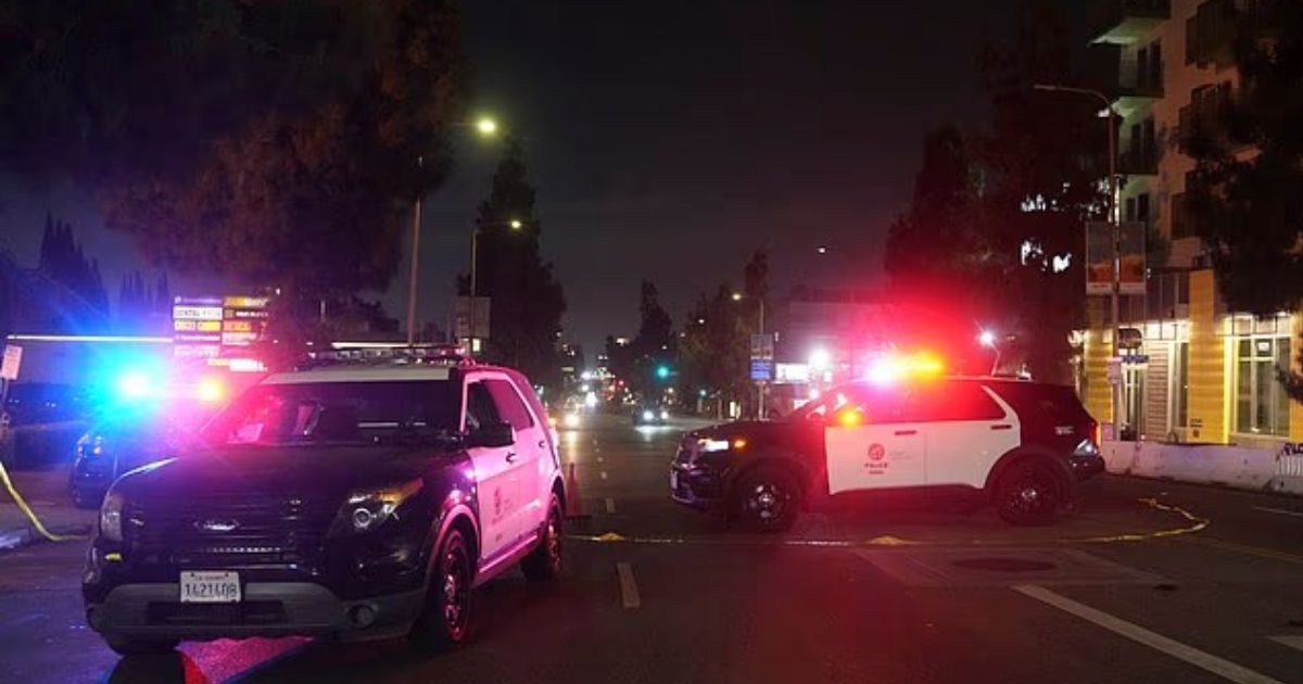 copy of articles thumbnail 1200 x 630 2025 07 20t142215 601.jpg - Vehicle 'ploughs into crowd' in Los Angeles to injure at least 31 - with three fighting for life
