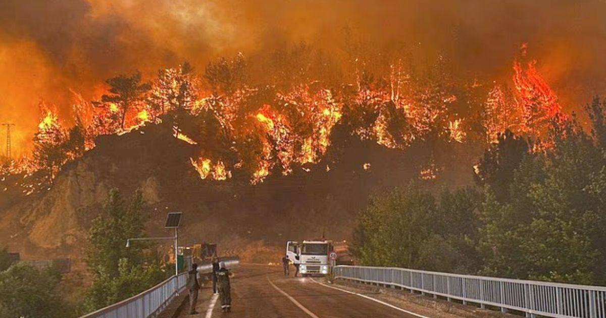 copy of articles thumbnail 1200 x 630 2025 07 24t131913 152.jpg - Out-of-Control Wildfires Destroy Tourist Town As Two People Burned Alive While Trying To Flee