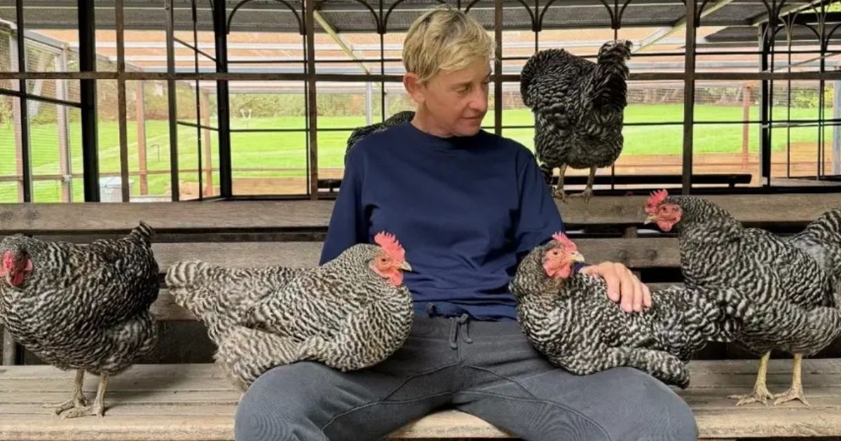 copy of articles thumbnail 1200 x 630 2025 07 31t161013 830.jpg - Adam Carolla recalls Ellen DeGeneres’ staff ‘cowering’ in fear on talk show set: ‘She’s not a nice person at all’