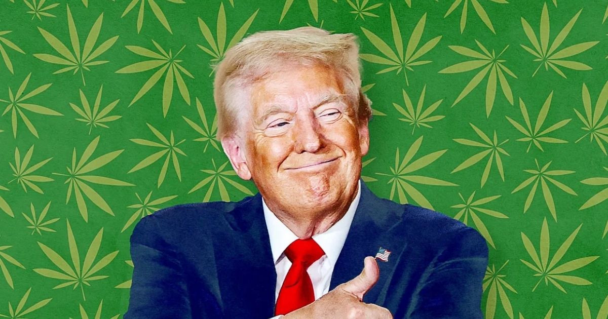 copy of articles thumbnail 1200 x 630 100 6.jpg - ‘Money Matters’- President Trump Slammed for Considering to Reclassify Marijuana as ‘Less Dangerous Drug’