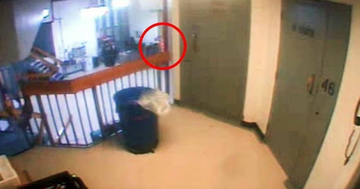 copy of articles thumbnail 1200 x 630 2025 07 31t160448 772.jpg - Mystery orange blob on the last jail footage of Jeffrey Epstein before he 'hanged himself' sparks new questions over his death