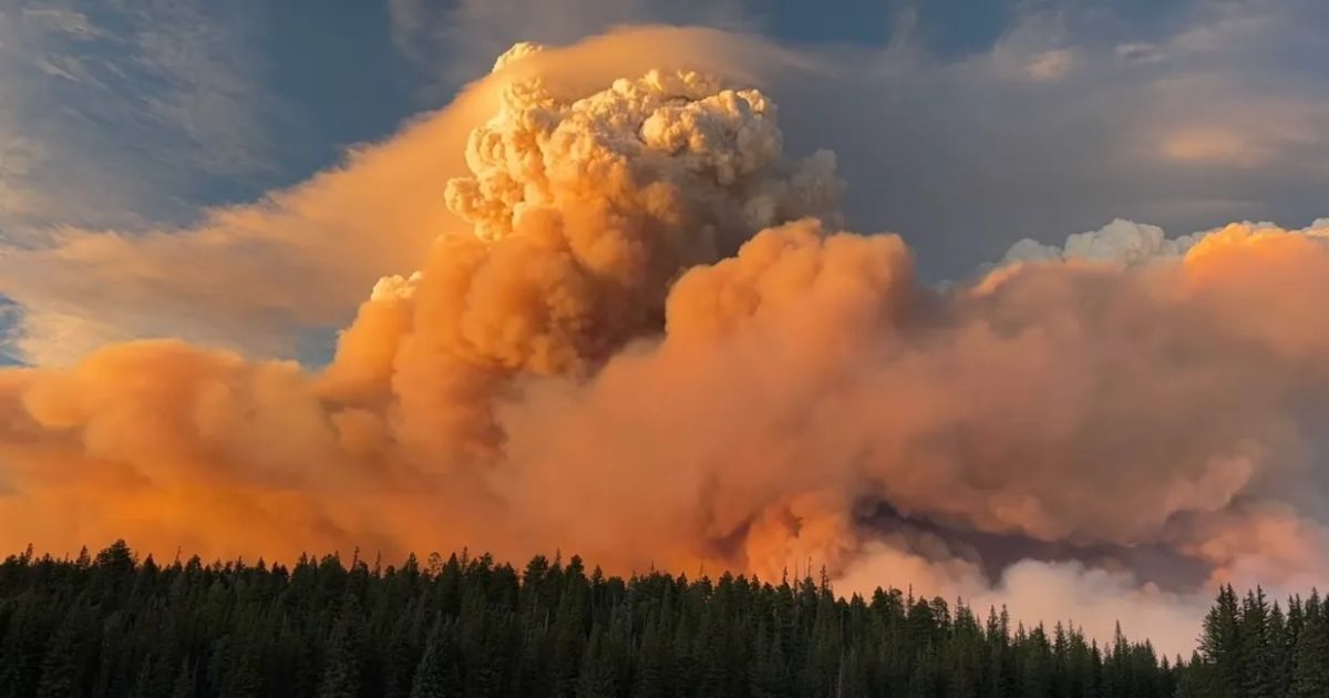 copy of articles thumbnail 1200 x 630 2025 08 04t174255 350.jpg - Horrifying footage shows first ‘megafire’ of year with Grand Canyon at risk as historic landmark already burned down