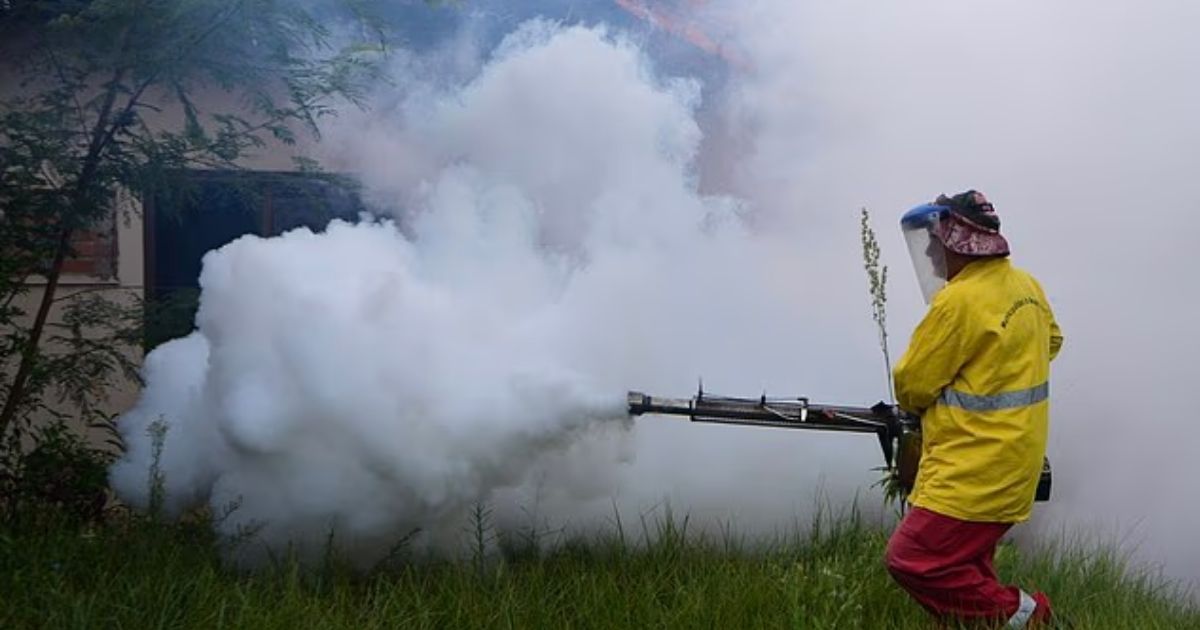 copy of articles thumbnail 1200 x 630 97 3.jpg - Global outbreak fears surge as virus in China prompts quarantines as thousands of new cases are reported