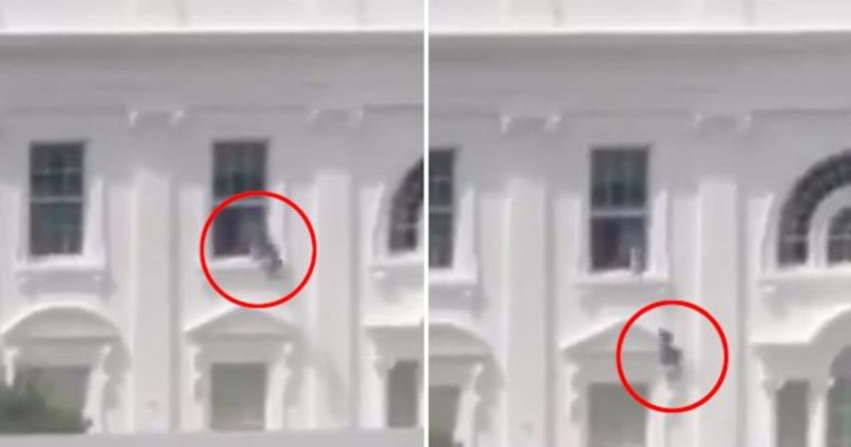copy of articles thumbnail 1200 x 630 2025 09 03t153943 177.jpg - White House Reveals Why Mystery Objects Were Thrown Out Window
